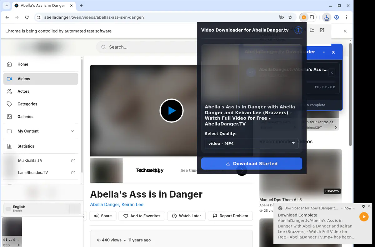 Abelladangertv Video Downloader browser extension screenshot 2