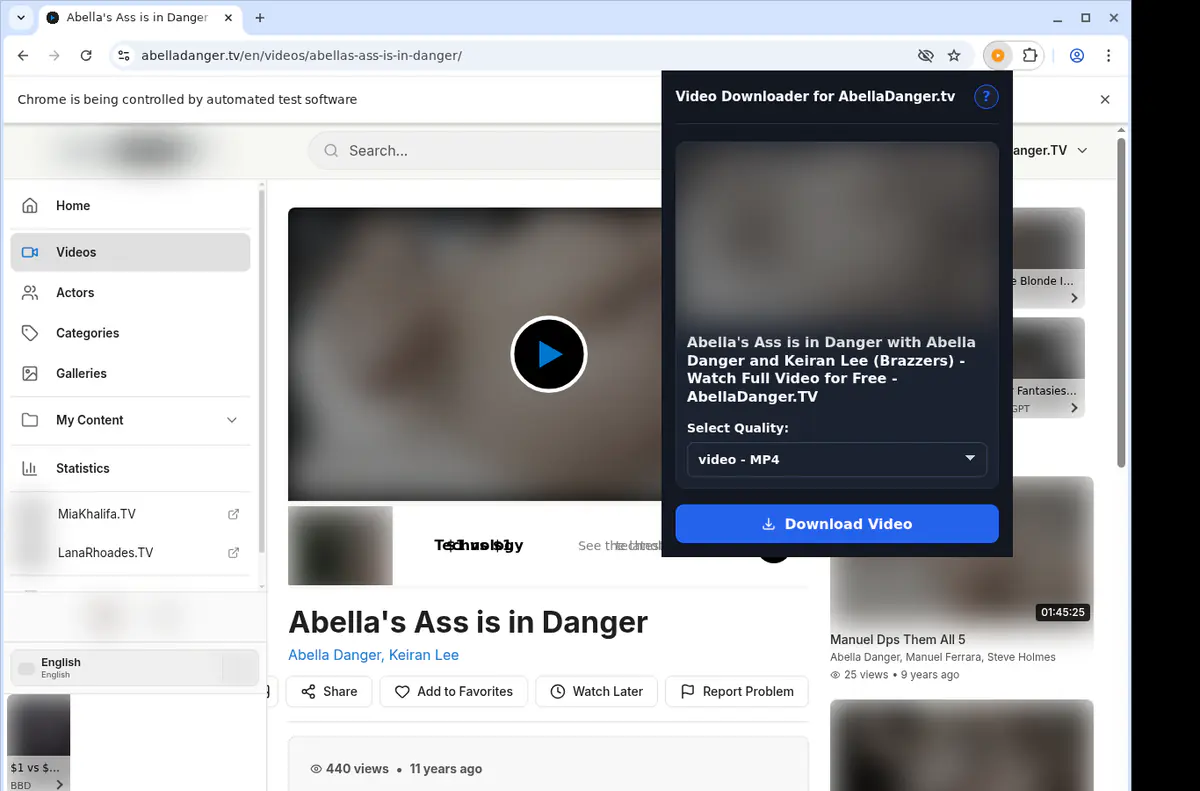 Abelladangertv Video Downloader browser extension screenshot 3